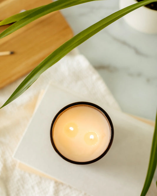 Mint Paloma Candle | 14 oz Amber Jar