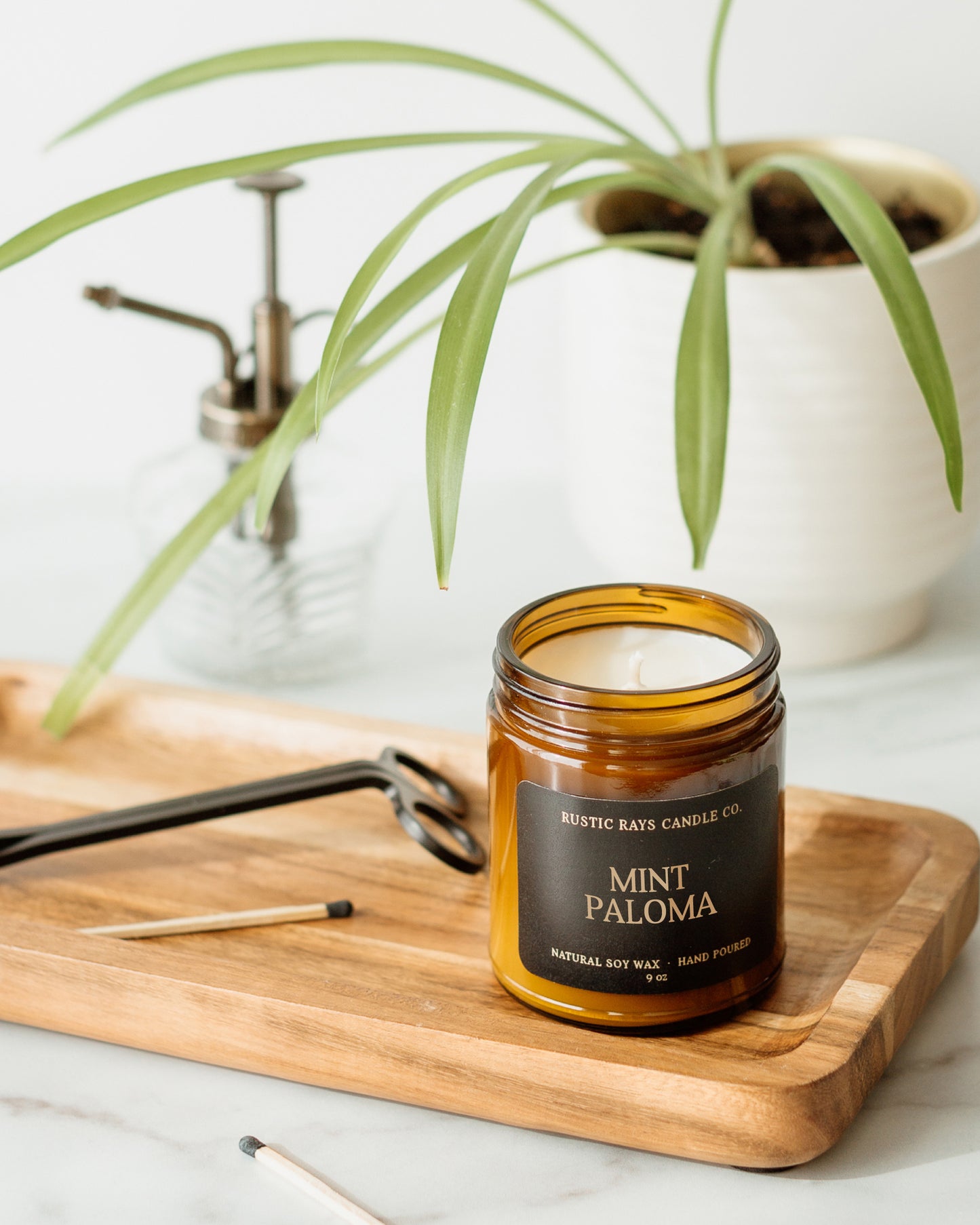 Mint Paloma Candle | 9 oz Amber Jar