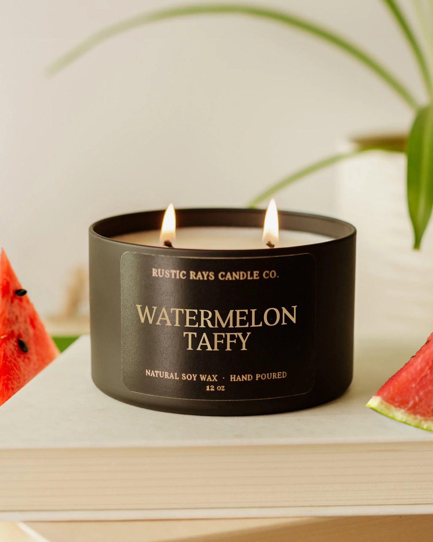 Watermelon Taffy Candle | 12 oz Tin