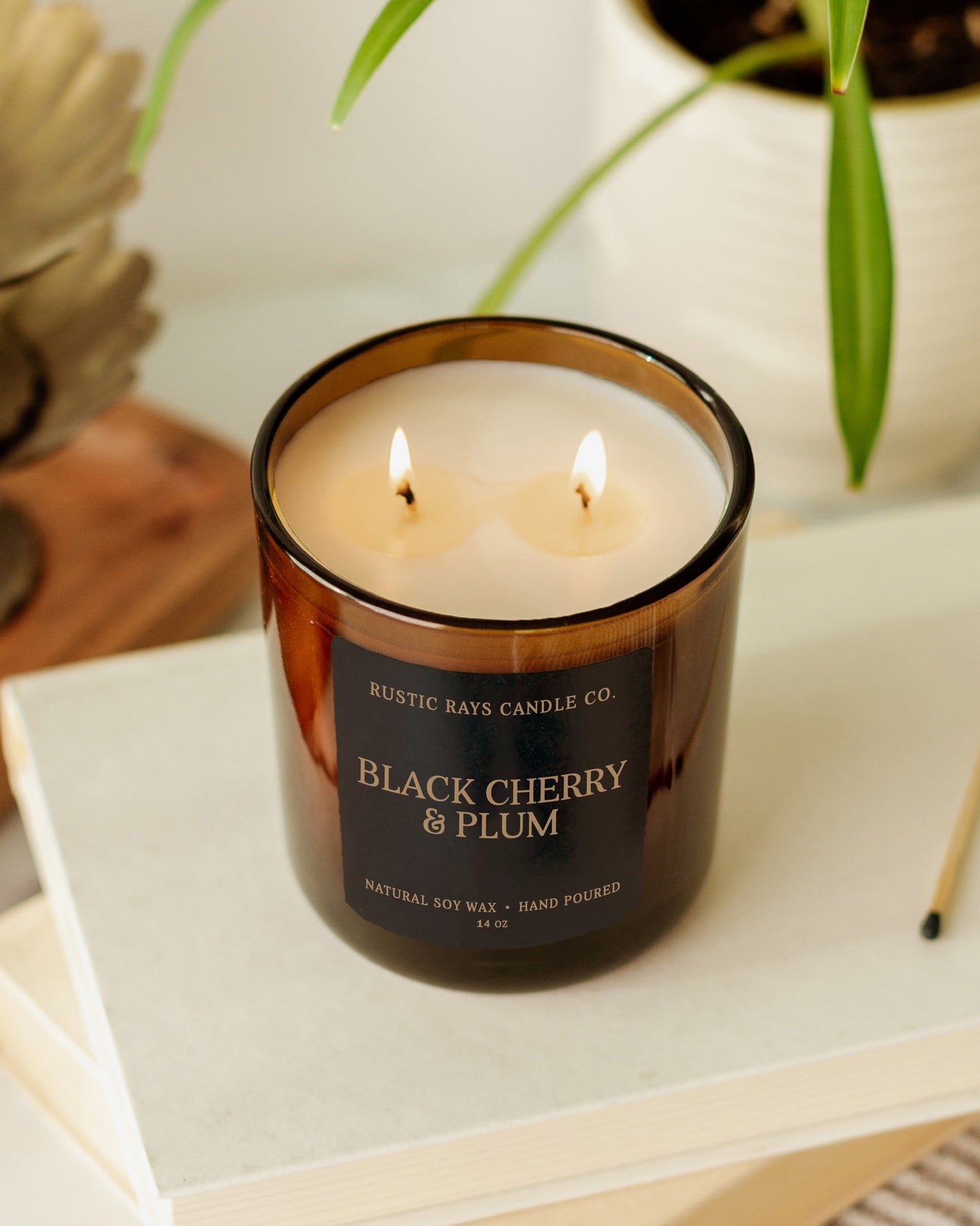 Black Cherry & Plum Candle | 14 oz Amber Jar