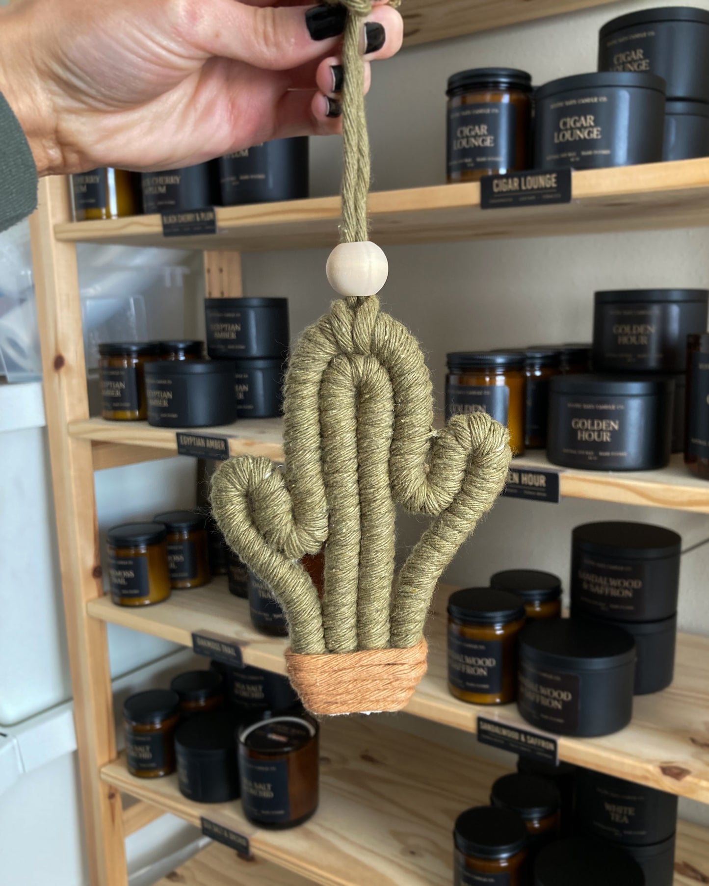Cactus Hanging Diffuser with Oil