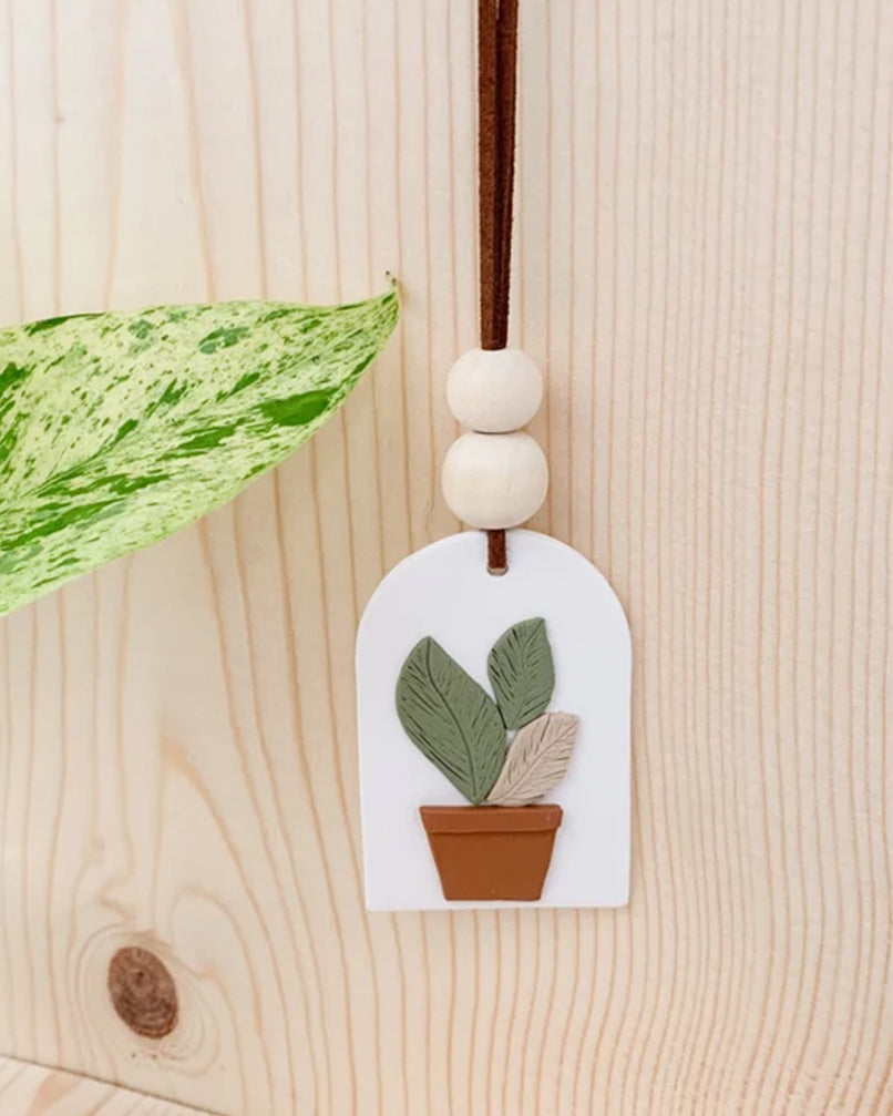 Clay Hanging Diffuser with Oil | Plant Life